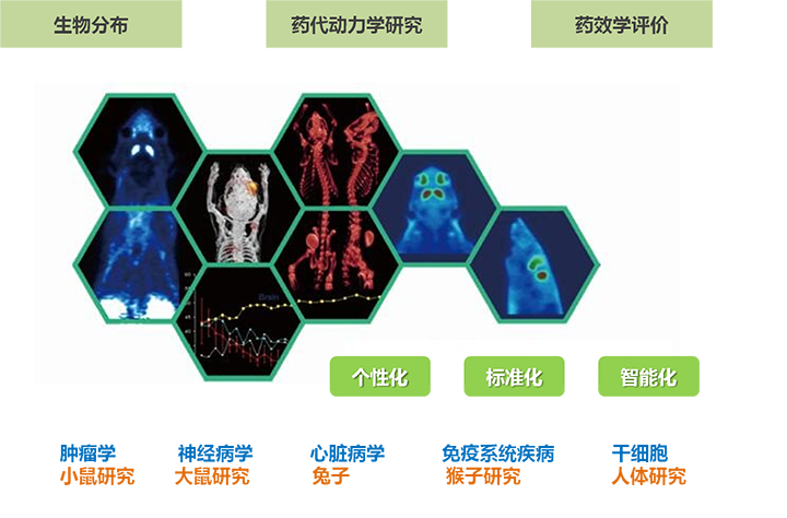 1456731556393069236.png CRO药物研发整体解决方案16字体-2.png